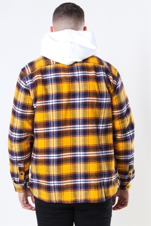 Levis Jackson Worker Koszule Golden Yellow