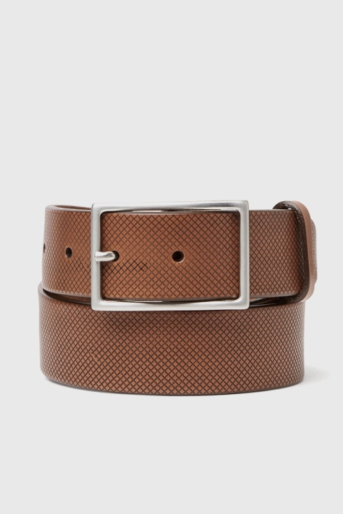 Saddler Tage Pasek Brown