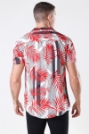 Solid Brando S/S Cuba Tropic Koszule Valiant PO