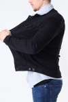 Denim Project Kash Teddy Denim Kurtki