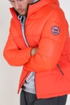 Jack & Jones Oscar Kurtki Hood Cherry Tomata