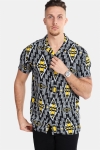 Redefined Rebel Jonathan Koszule Aztec Solar Power