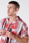 Solid Brando S/S Cuba Tropic Koszule Valiant PO