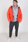 Jack & Jones Oscar Kurtki Hood Cherry Tomata